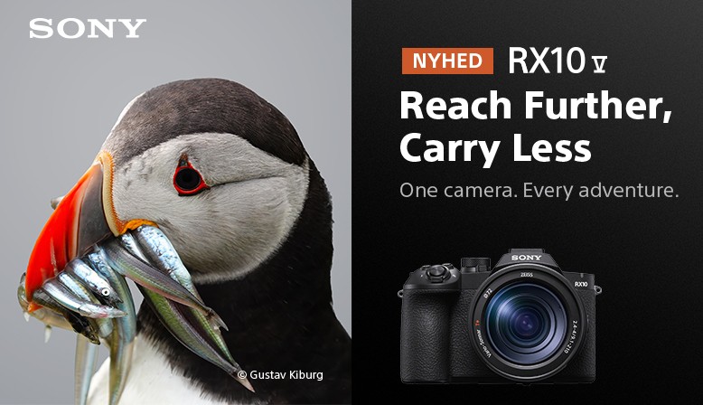 Bestil det nye alt-i-et kamera RX10 V fra Sony med superzoom fra 24-600mm og video i 4K
